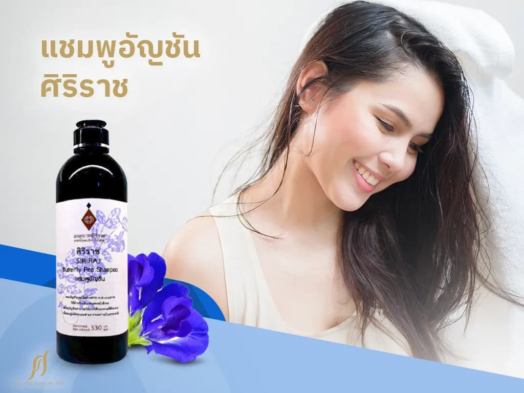 แชมพูลดผมร่วงสูตรอัญชันจากศิริราช ตัวช่วยฟื้นฟูรากผมอย่างมีประสิทธิภาพ