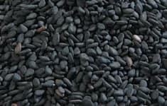 งาดำ Black Sesame Seed