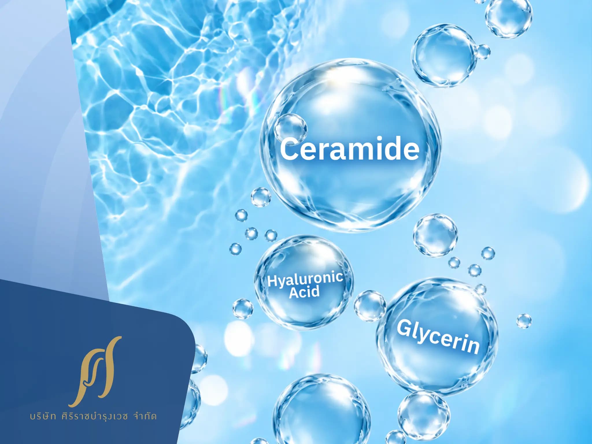 Ceramide, Hyaluronic Acid, Glycerin ต่างกันอย่างไร รู้จักส่วนผสมมอยเจอร์ไรเซอร์ที่ดีสำหรับคนเป็นสิว